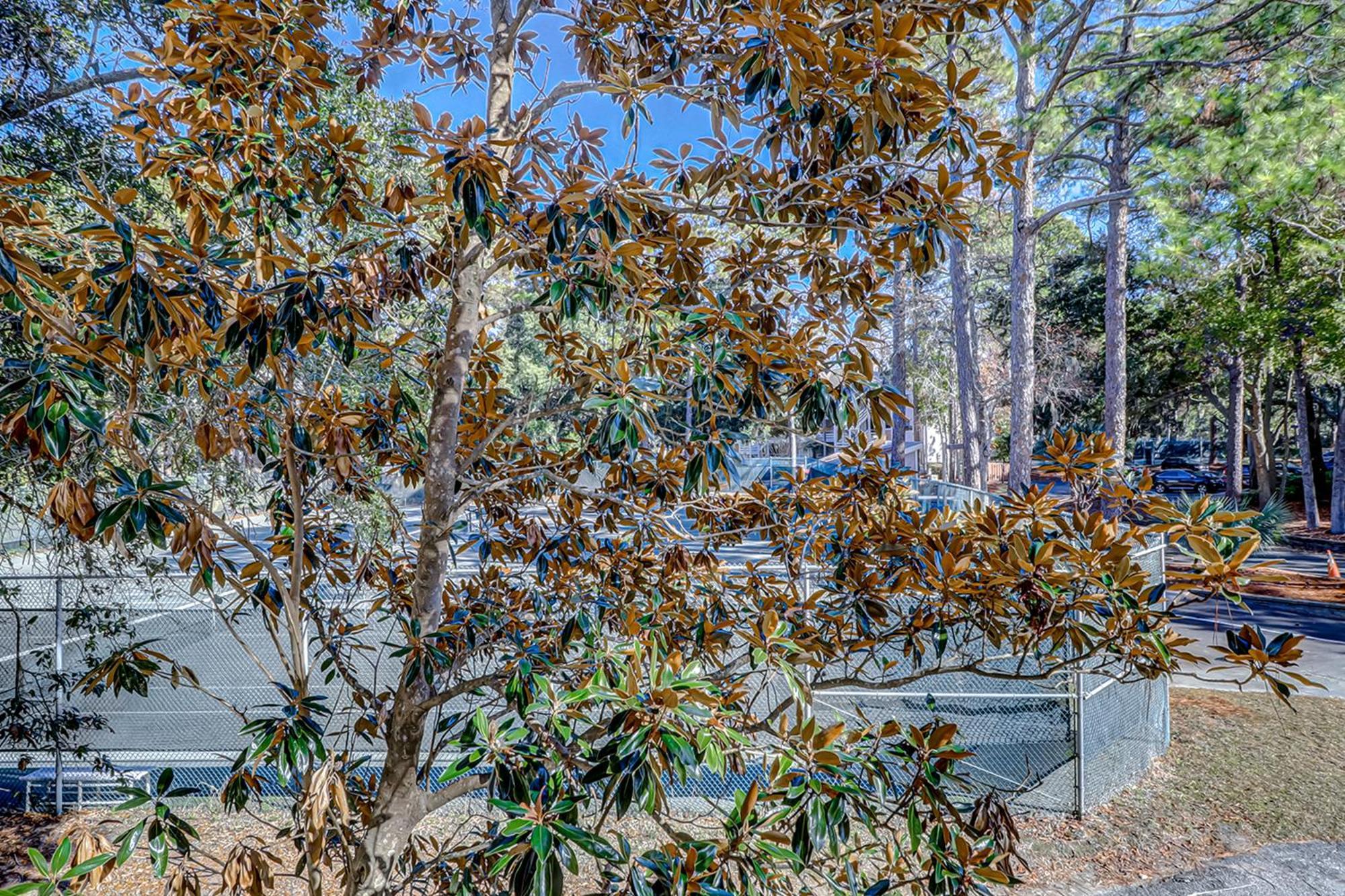 Fiddlers Cove Vila Hilton Head Island Quarto foto